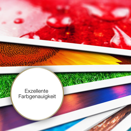 EPSON Matte - Heavy Weight, A4, 50 Blatt