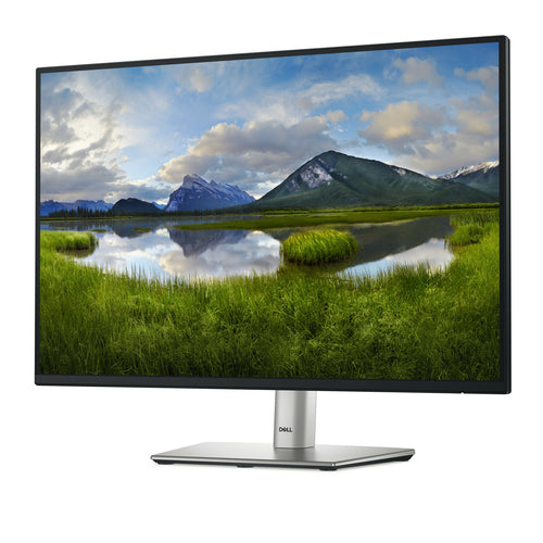 Dell 24 Monitor - P2425