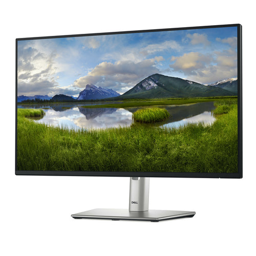 Dell 24 Monitor - P2425H