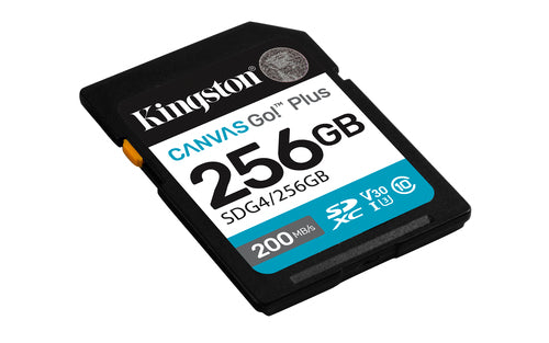 256GB SDXC Canvas Go Plus Gen4 C10