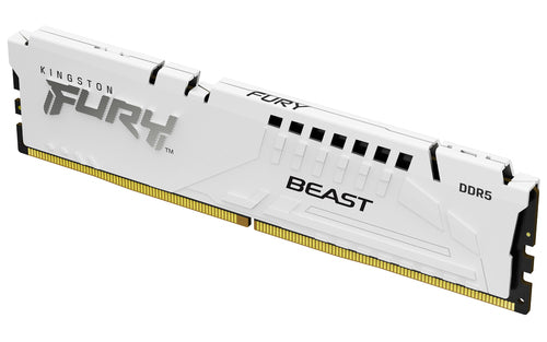 16GB 5600 DDR5 DIMM FURY Beast WHT EXPO