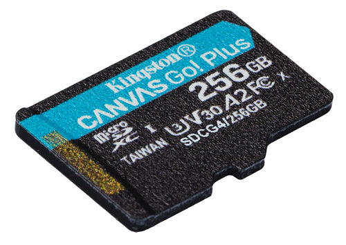 256GB microSDXC Canvas Go Plus w/o ADP